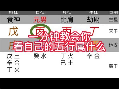 自己五行屬性|快速瞭解你的五行屬性